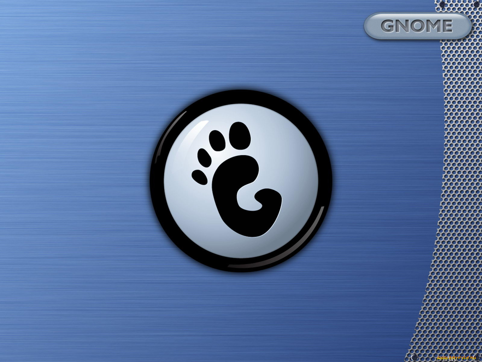 , gnome